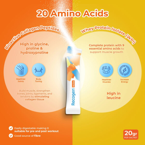 NCI_Recogen_Active_Energy_Supplement_Benefits_Singapore.webp